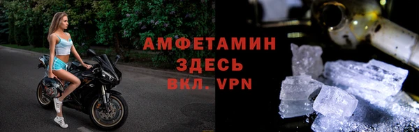 сатива Верея