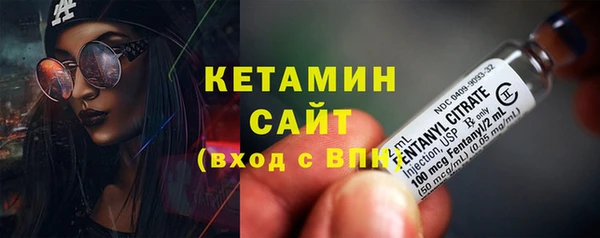 шишки Шадринск