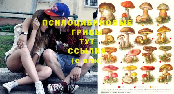 spice Володарск