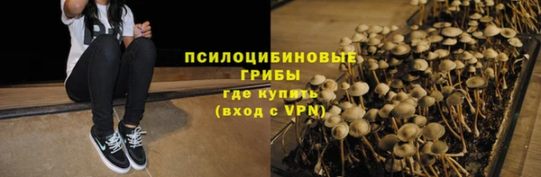 бошки Горняк