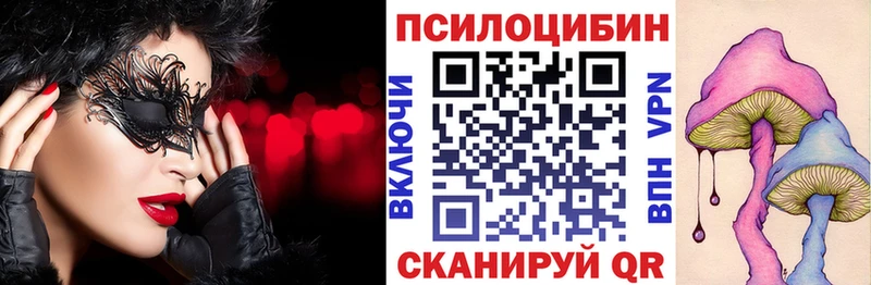 Галлюциногенные грибы Cubensis  Звенигород 